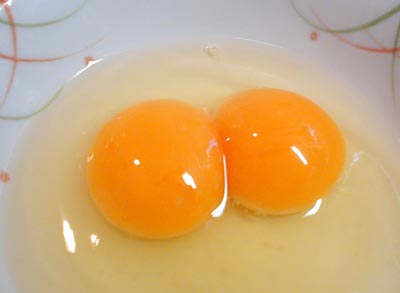 双児の卵